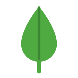 MongoDB Explorer & Compass Tools